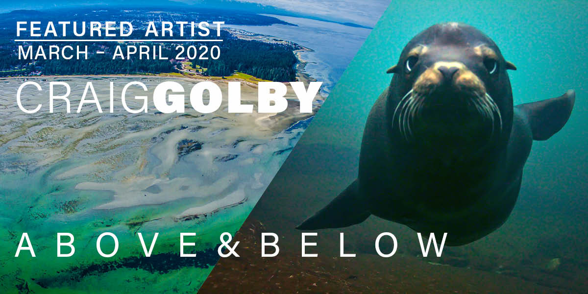 Craig Golby, Above & Below, Featured Artist for March & April, 2020